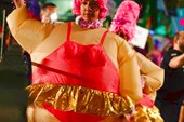 SydneyMardi-Gras[1]